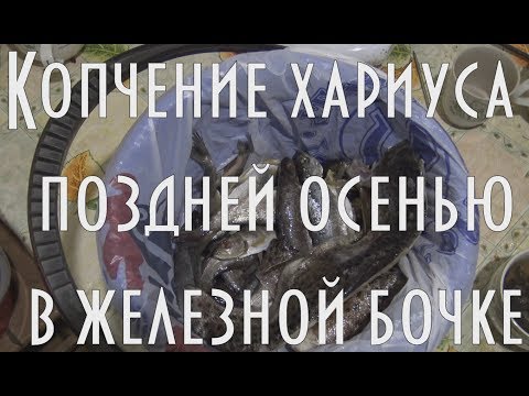 Видео: Холодное копчение хариуса и ленка, поздней осенью, в железной бочке 🐬