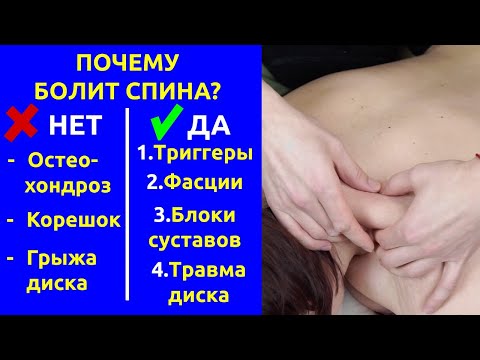 Видео: Почему болит спина? 4 компонента болей в пояснице и шее