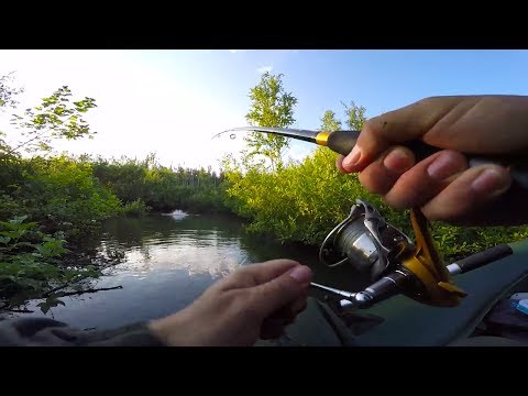 Видео: Рыбалка на красивой лесной речке / Ловля Щуки на воблеры с Алиэкспресс