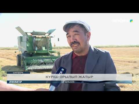 Видео: КҮРІШ ОРЫЛЫП ЖАТЫР