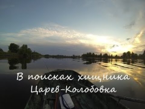 Видео: Летняя рыбалка с лодки на р.Ахтуба, между селами Царев и Колобовка.