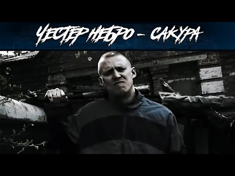 Видео: Честер Небро — Сакура