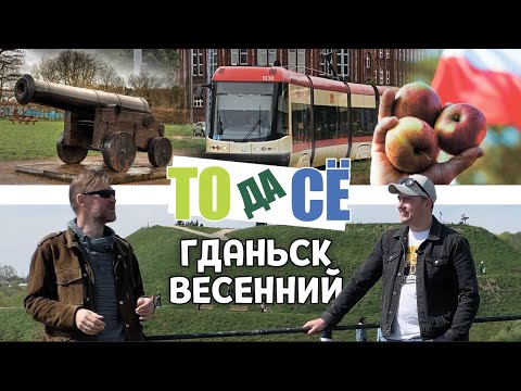 Видео: №3 Архитектура ГДАНЬСКА | Правила дорожного движения | Что делать если остановил страж? @ТОдаСе-1