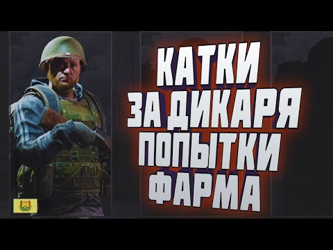 Видео: ARENA BREAKOUT! КАТКИ ЗА ДИКАРЯ! ПОПЫТКИ ФАРМА!
