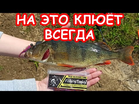 Видео: КАК ПОЙМАТЬ КРУПНОГО ОКУНЯ. НА ЭТО КЛЮЕТ ВСЕГДА. ПРИМАНКИ НА ОКУНЯ