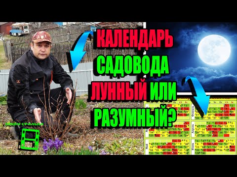 Видео: ЛУЧШИЙ КАЛЕНДАРЬ САДОВОДА И ОГОРОДНИКА ОТ НАШИХ ПРЕДКОВ. ЭКОСАД (ОГОРОД) И ТЕПЛИЦА 22-2