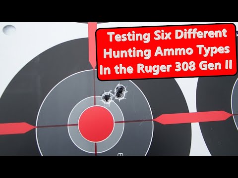 Видео: 308 Тестирование патронов в Ruger Gen II