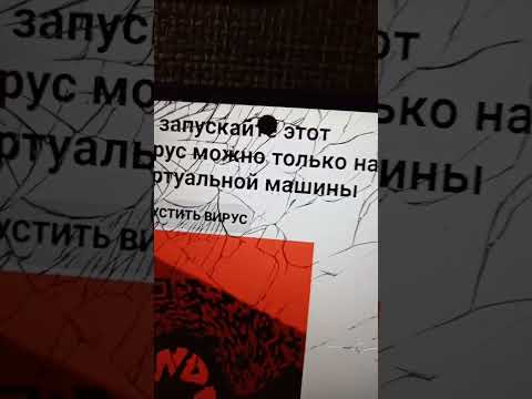 Видео: 28 октября 2025 г.