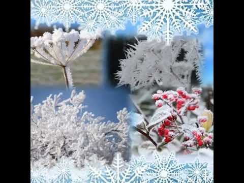 Видео: "Зимові явища природи"#дошкілля #заняттядлядітей