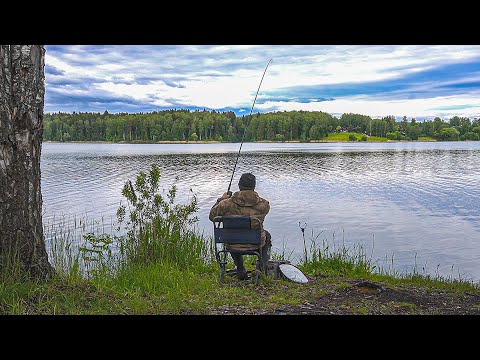 Видео: РЫБАЛКА С НОЧЕВКОЙ. РЕТРИТ ПО-РУССКИ! ПРИРОДА, ГИТАРА, КОСТЁР И ХОРОШАЯ КОМПАНИЯ!  ЛОВЛЯ НА ФИДЕР.