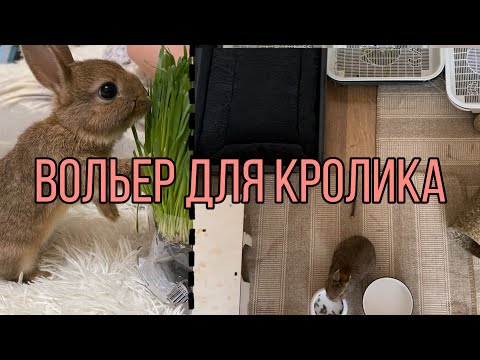 Видео: Вольер для кролика| Переезд| Купили кролика