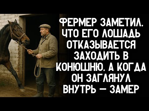 Видео: Фермер заметил, что его лошадь отказывается заходить в конюшню, а когда он заглянул внутрь — замер