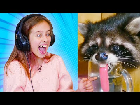 Видео: Попробуй не засмеяться Челлендж 😂 Реакция на смешные видео