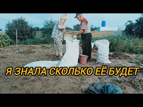Видео: Я ЗНАЛА СКОЛЬКО ЕЁ БУДЕТ 