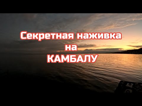 Видео: Секретная наживка на КАМБАЛУ.