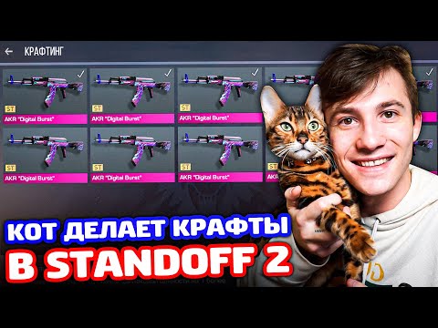 Видео: МОЙ КОТ ДЕЛАЕТ КРАФТЫ В STANDOFF 2!