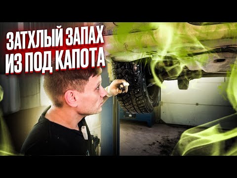 Видео: ЗАПАХ ГАРИ И БЕНЗИНА В САЛОНЕ - ЧТО ПРОВЕРИТЬ В ПЕРВУЮ ОЧЕРЕДЬ? РЕШАЕМ БЕЗ ЗАПЧАСТЕЙ) #буднисервиса