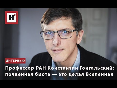 Видео: ПРОФЕССОР РАН КОНСТАНТИН ГОНГАЛЬСКИЙ: ПОЧВЕННАЯ БИОТА — ЭТО ЦЕЛАЯ ВСЕЛЕННАЯ