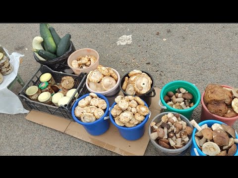 Видео: Торговля на трассе // ПЕРЕКУПЩИЦА //