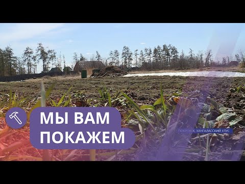 Видео: Мы вам покажем: Выращивание клубники в северных условиях