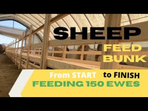 Видео: Строительство загона для овец. От начала до конца.