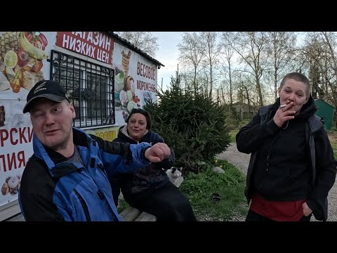 Видео: Приглашение в постельку, Новый имидж Воровки, Элитный поставщик всех уделает, Цыганские прихваты'