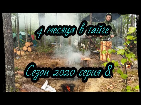 Видео: Сезон 2020 серия 8. Охота,  медведь и муравейник, точка 22 км.