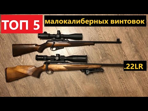 Видео: ✅ ТОП 5 ЛУЧШИХ МАЛОКАЛИБЕРНЫХ ВИНТОВОК.