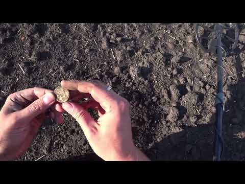Видео: ЦЕННОСТЬ НАХОДОК НА ЭТОМ ПОЛЕ ЗАСТАВЛЯЕТ ВОЗВРАЩАТЬСЯ И СРОЧНО КОПАТЬ! Gold Hunter B75