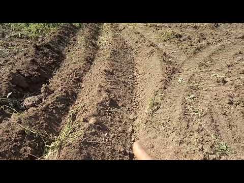 Видео: Трактора.Что сделал и что сломал ))))