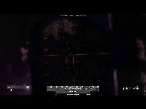 Видео: Заходим на стрим)