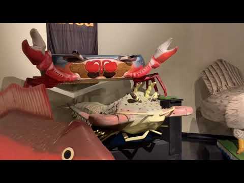 Видео: Большое путешествие по Америке/ день пятый (1 часть) / музей истории похорон