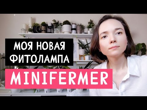 Видео: Моя новая фитолампа минифермер #комнатныерастения #распаковка