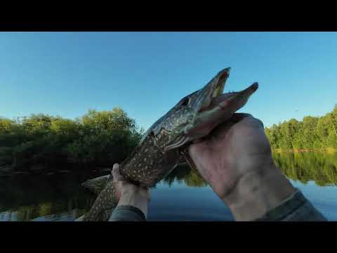 Видео: РЫБАЛКА на малой реке. ЩУКА НА СПИННИНГ