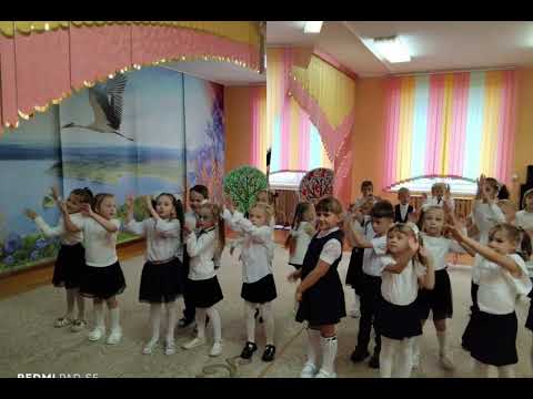 Видео: День народного единства