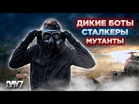 Видео: DAYZ STALKER PVE | ТУСОВКА ПО ЗОНЕ | БОТЫ, МОНСТРЫ, ТЕЛЕПОРТЫ, АНОМАЛИИ | ПРОЕКТ HELLRISE #4