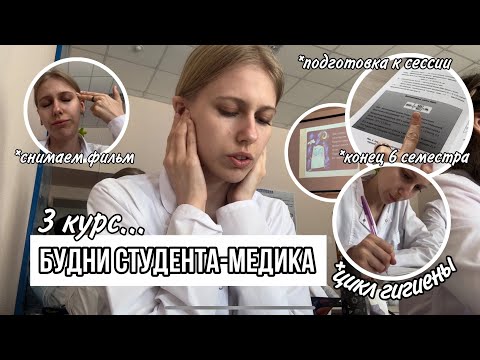 Видео: Влог: будни студента-медика // цикл гигиены // считаем индексы, снимаем фильм, делаем презентации