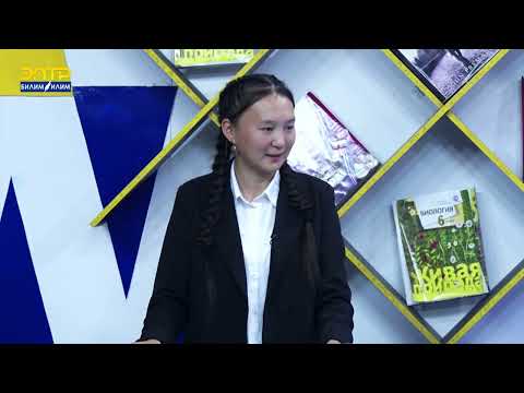 Видео: АЛАЙ РАЙОНУНУН ТОКТОГУЛ МЕКТЕБИНИН ОКУУЧУЛАРЫ ТАЙМАШТЫ //Билим таймаш