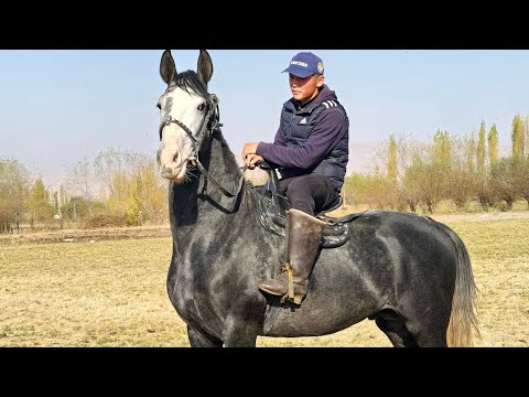 Видео: 24 октября 2025 г.
