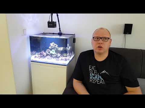 Видео: Что нужно для запуска морского нано Аквариума.