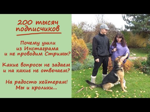 Видео: Отмечаем 200 тыс. Подписчиков! Чай, сливовый пирог и ответы на Ваши вопросы...