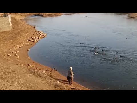 Видео: Гуляю по набережной 💃