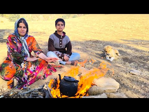 Видео: вернуться домой