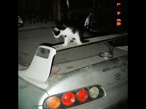 Видео: NEVERLOVE - Милфхантер (Slowed)