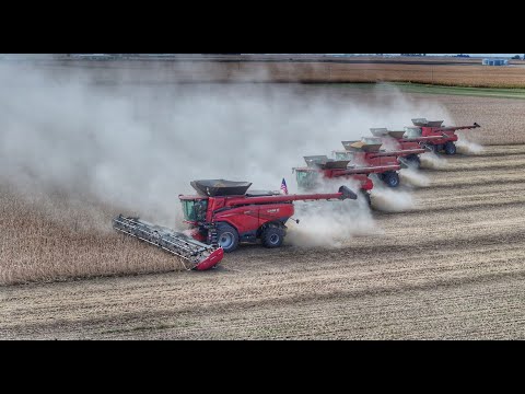 Видео: Комбайн Case IH AF10 с 50-футовым MacDon на соевых бобах. Интервью с дилером пятого поколения Мих...