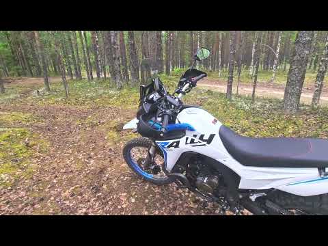 Видео: Первый выезд на природу Voge Rally 300 2025 года