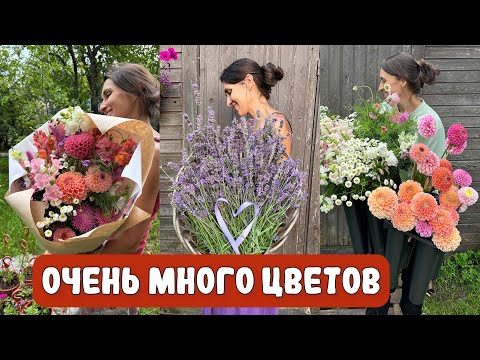 Видео: СРЕЗКА НАЧАЛАСЬ! ЦВЕТОЧНЫЙ ФЕРМЕР #милыйсад