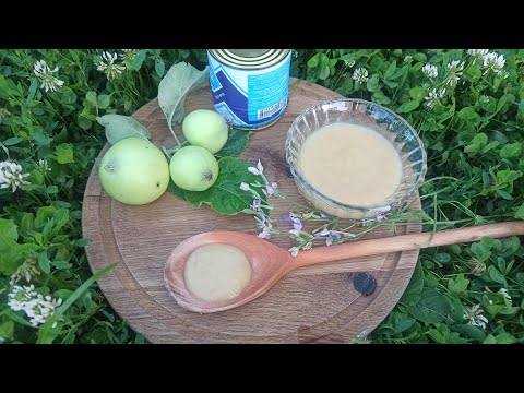 Видео: Варення "Ніжність" яблука та згущонка. 🍎🍏🍎