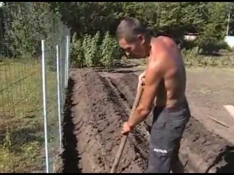 Видео: Грядки для клубники