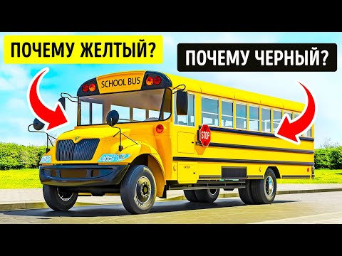Видео: Вот почему школьные автобусы в некоторых странах в основном желтые!